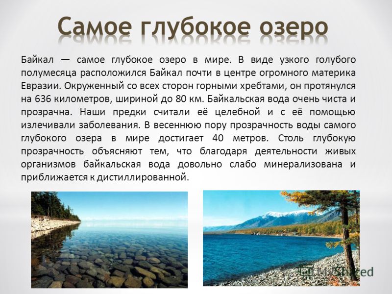 Байкал самое глубокое озеро в мире. В виде узкого голубого полумесяца расположился Байкал почти в центре огромного материка Евразии. Окруженный со всех сторон горными хребтами, он протянулся на 636 километров, шириной до 80 км. Байкальская вода очень