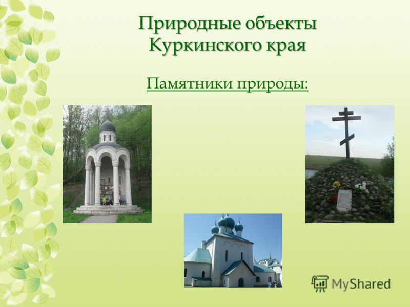 Природные объекты Куркинского края Памятники природы: