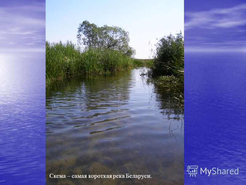 Скема – самая короткая река Беларуси.