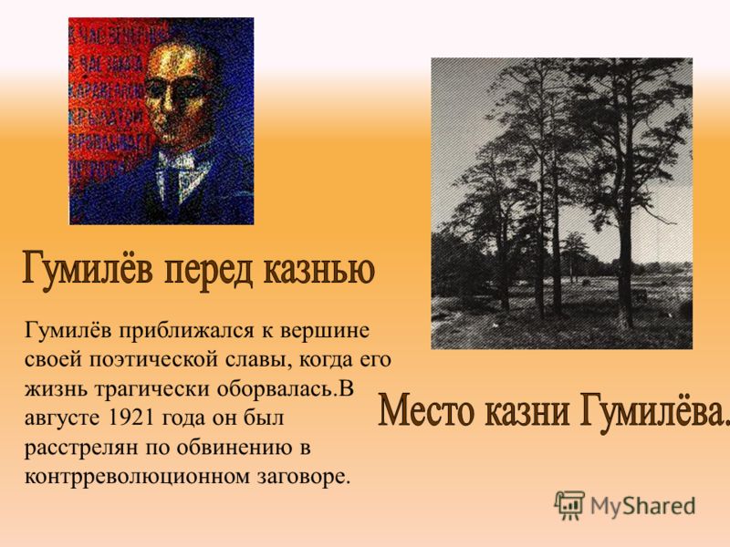 Гумилёв приближался к вершине своей поэтической славы, когда его жизнь трагически оборвалась.В августе 1921 года он был расстрелян по обвинению в контрреволюционном заговоре.