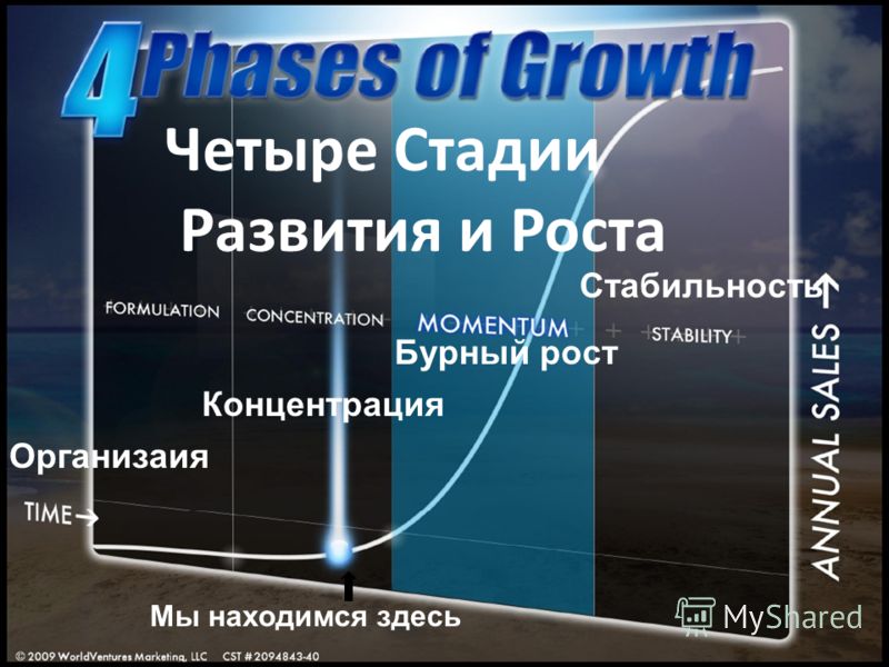 Четыре Стадии Развития и Роста Мы находимся здесь Организаия Концентрация Бурный рост Стабильность