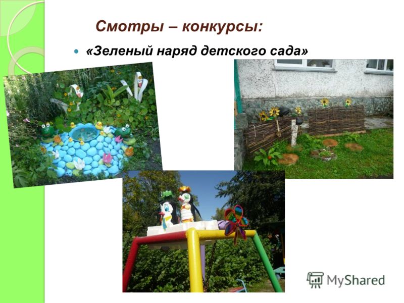 Смотры – конкурсы: «Зеленый наряд детского сада»