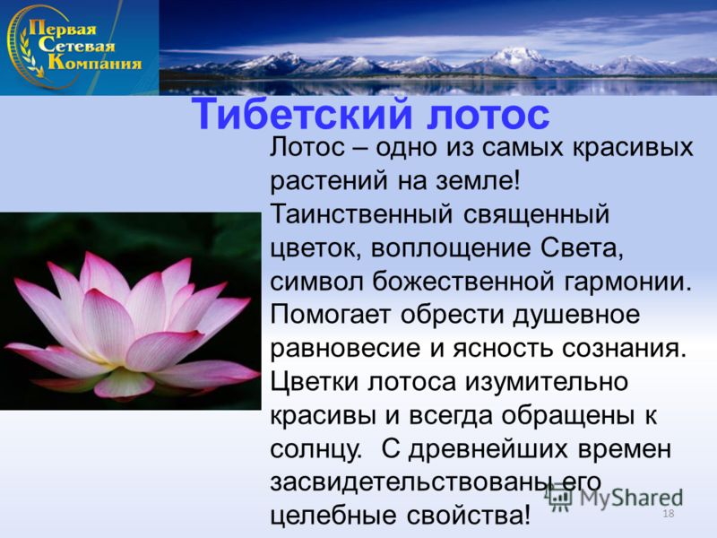 Тибетский лотос Лотос – одно из самых красивых растений на земле! Таинственный священный цветок, воплощение Света, символ божественной гармонии. Помогает обрести душевное равновесие и ясность сознания. Цветки лотоса изумительно красивы и всегда обращ