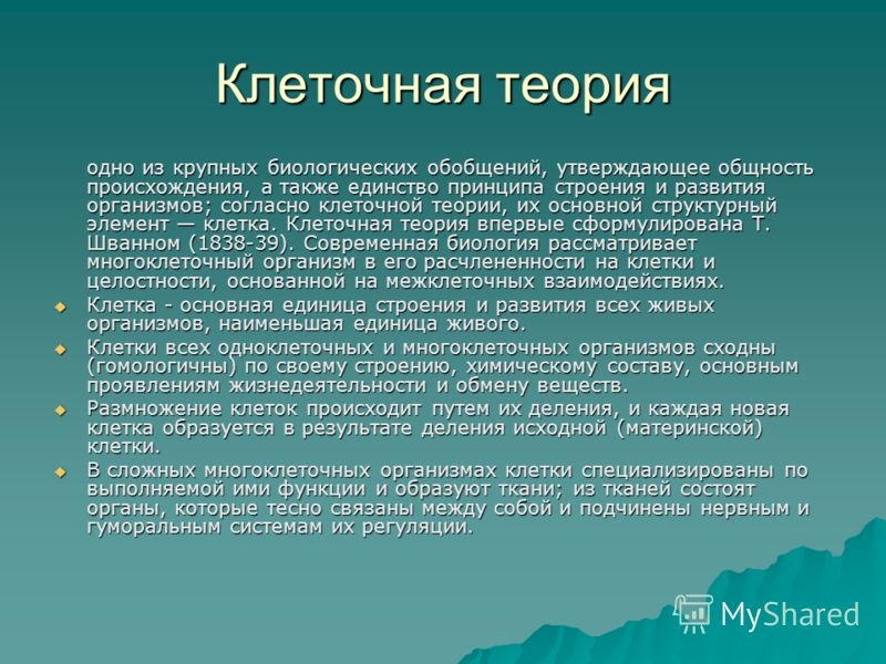 С чем связано возникновение клеточной теории С чем связано возникновение клеточной теории