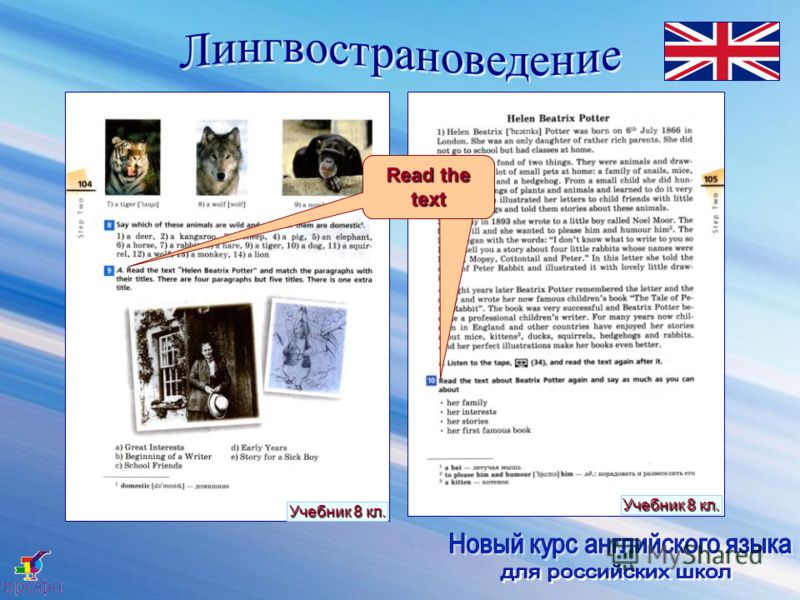 Say Read the text Учебник 8 кл.