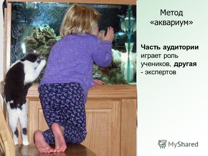 Главная - Скачать схемы вышивки крестом от Натки-фанатки Вязаный снуд. МК / связать шарф снуд спицами