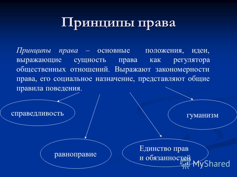 принципы уголовного права украины Георгиевна