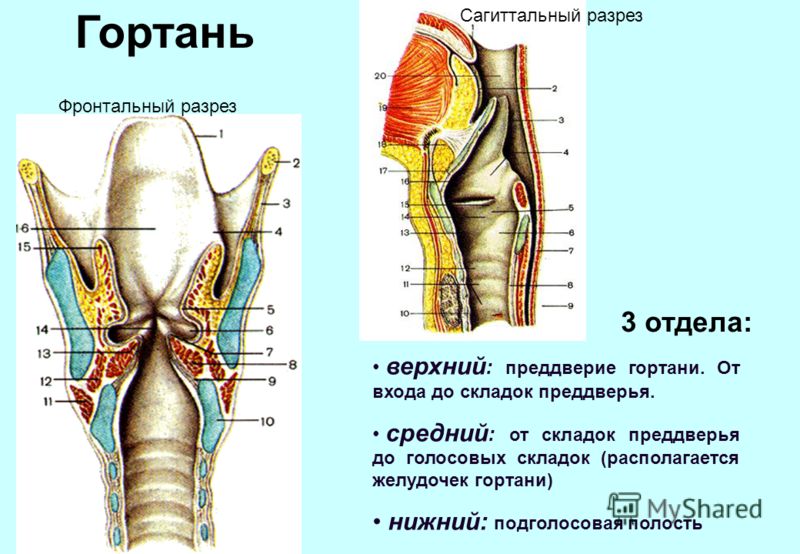 Деревянные потолки своими руками Деревянные потолки своими руками