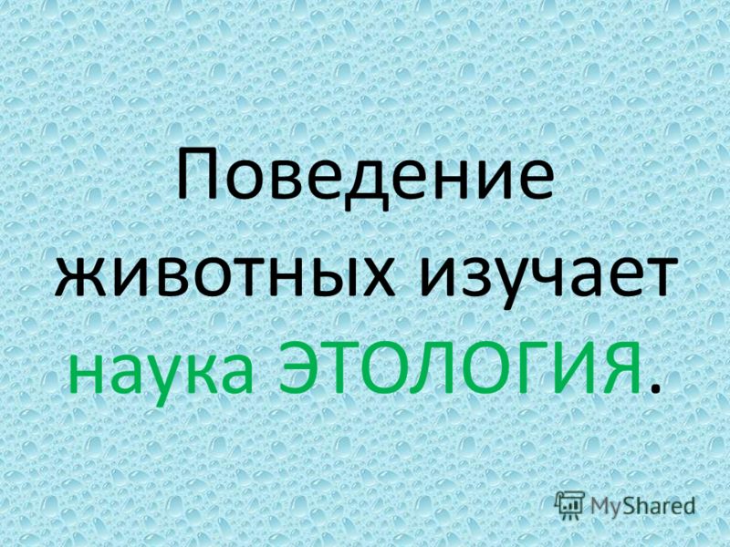 Цветы изучает наука Цветы изучает наука