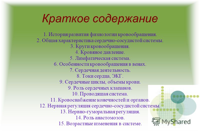 Курсовая Работа На Тему Кровообращение