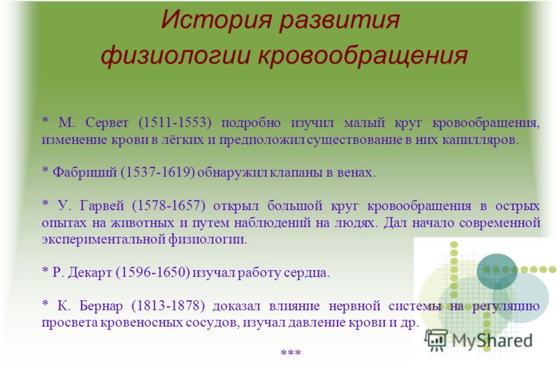 Курсовая Работа На Тему Кровообращение