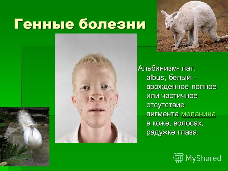 Мастер классы по валянию из шерсти шляпок Мастер классы по валянию из шерсти шляпок