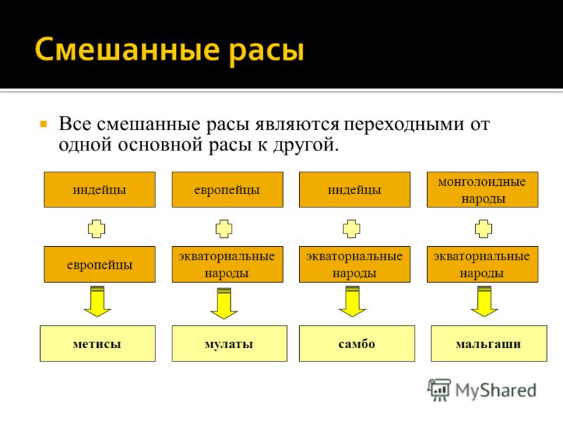 КАК СДЕЛАТЬ ССЫЛКУ НА АЛЬБОМ, ОБСУЖДЕНИЕ, САЙТ ВКонтакте Йогурт из молока