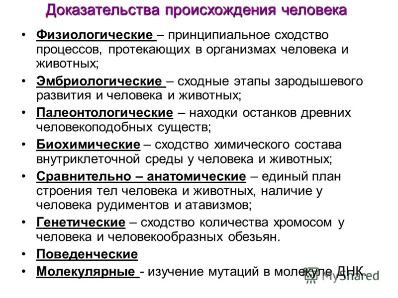 Анатомические доказательства примеры