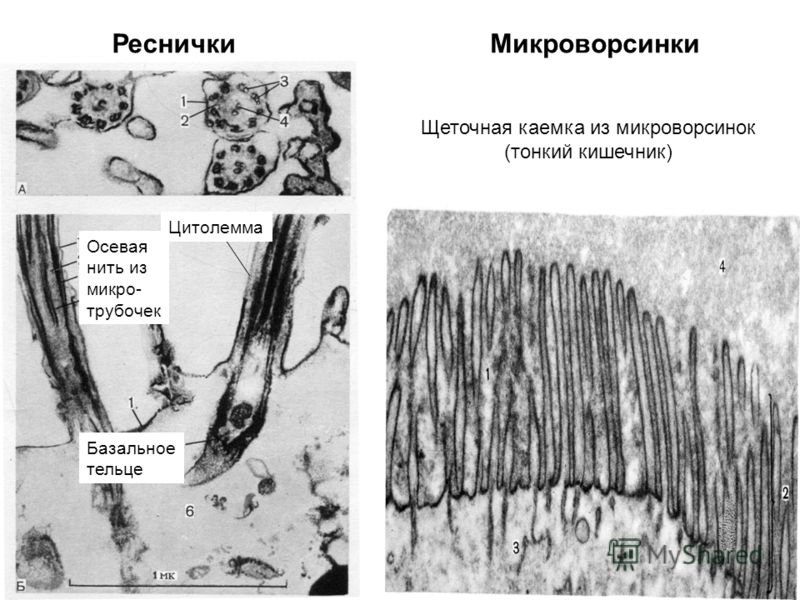 Картинки мужчине с любовью и нежностью Как получить визу в Сингапур самостоятельно Skyscanner