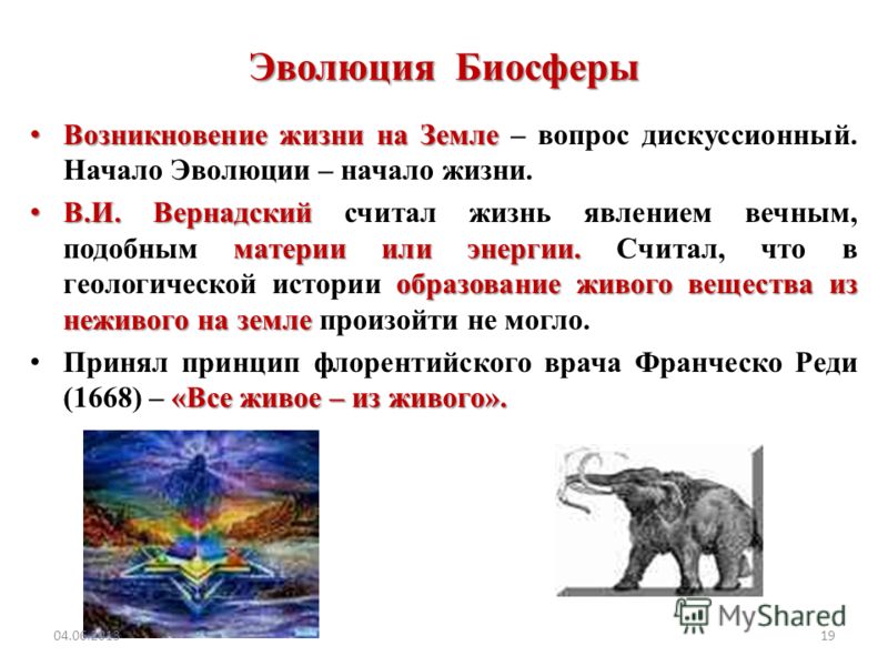 Мангал из кирпича своими руками: чертежи, пошаговая инструкция Лягушка из бумаги. Забавная игрушка для детей