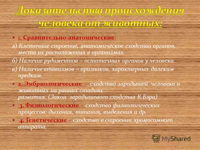 Реферат: Доказательство гипотезы происхождения человека от животных. Скачать бесплатно и без регистрации Реферат: Доказательство гипотезы происхождения человека от животных. Скачать бесплатно и без регистрации