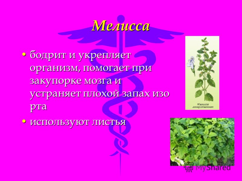 запах химии изо рта запах химии изо рта