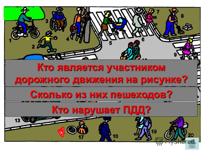 Кто является участником доржного движения Черного