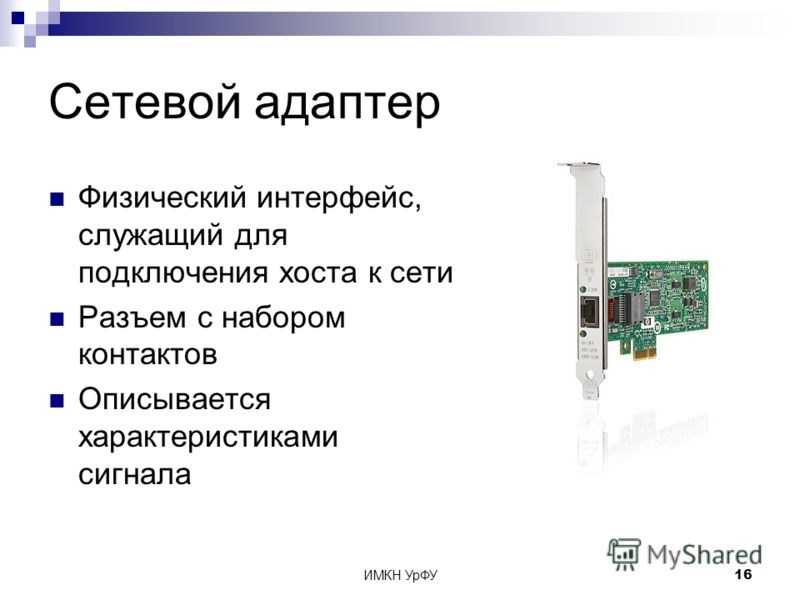 Сетевая карта сетевая разъем