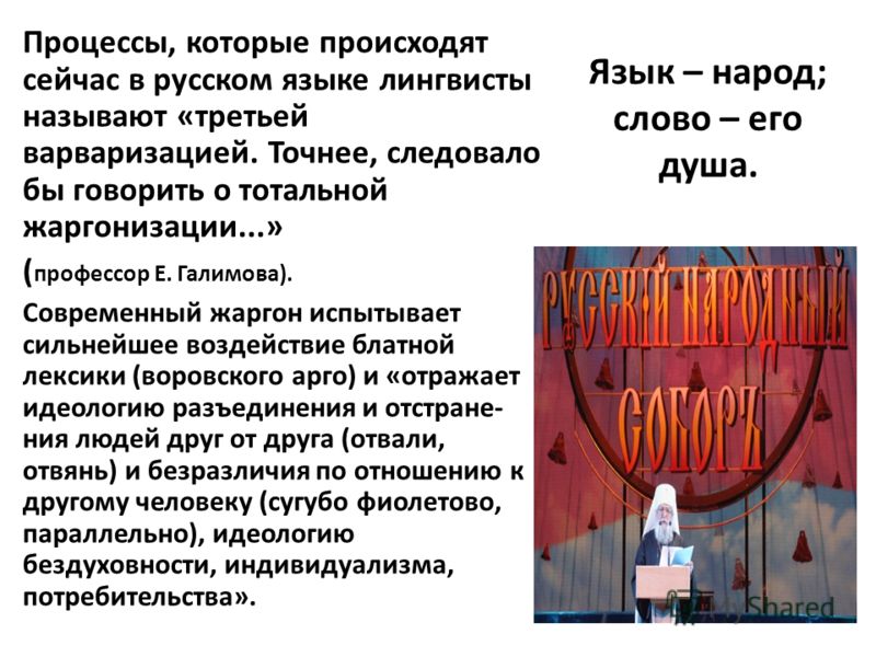 Признание в любви русскому языку Признание в любви русскому языку