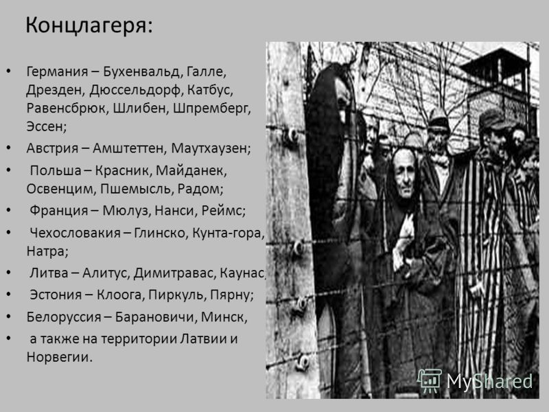 Конкурсы о холокосте Конкурсы о холокосте