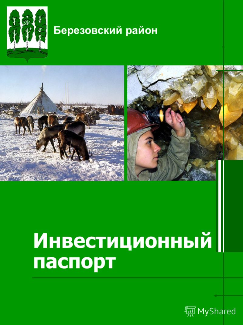 Фото На Паспорт На Северо Западе Фото На Паспорт На Северо Западе