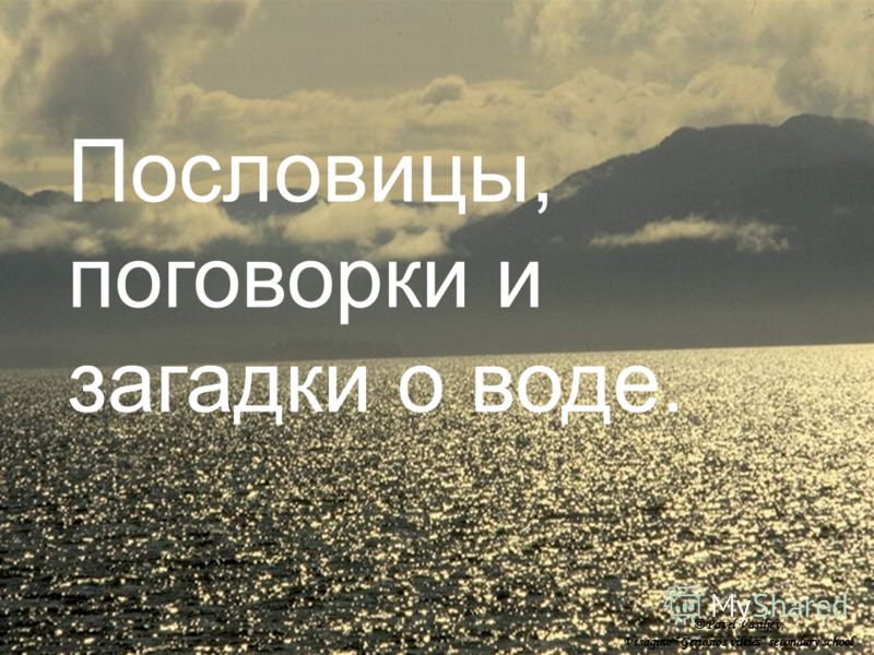Дисциплина изречения Дисциплина изречения