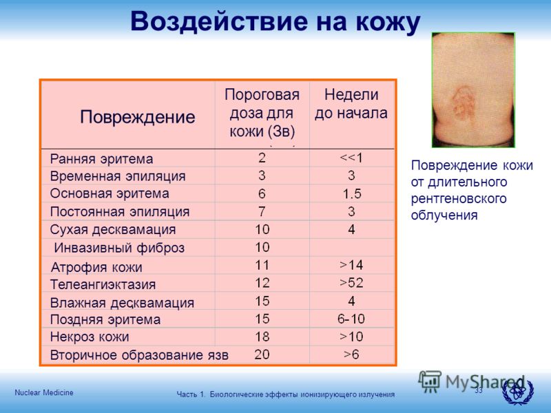 Биологические повреждения кожи Биологические повреждения кожи