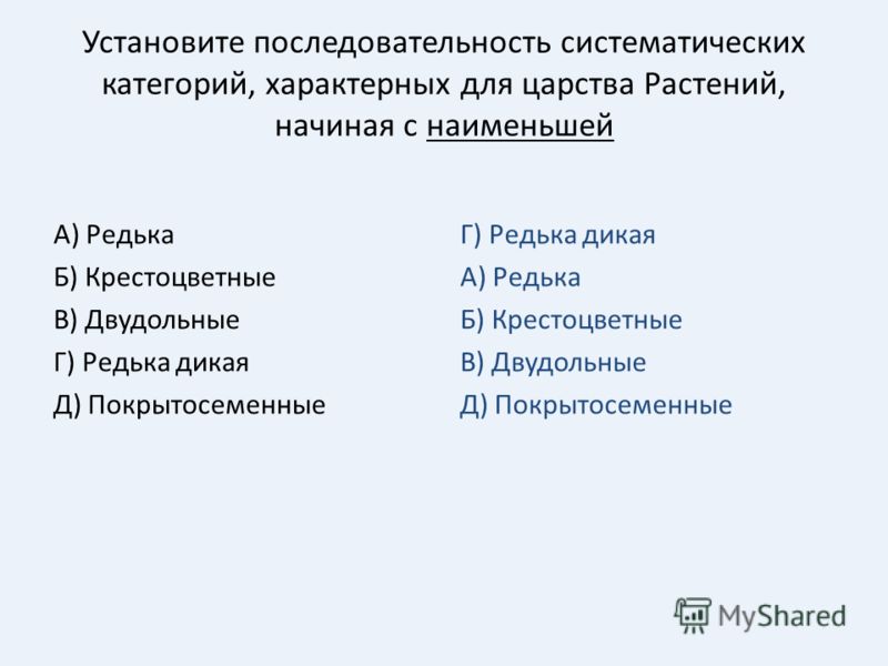 Презентация на тему: "Животные ЖИВОТНЫЕОРГАНЫ ДЫХАНИЯ 1)морская черепаха 2)акула