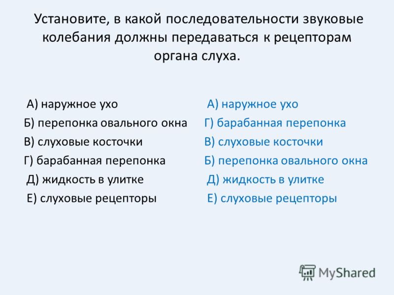 Коррекция осанки пояса