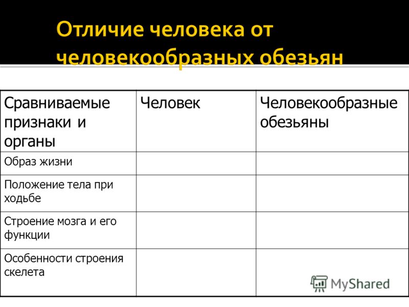 Отличие и сходство человека человекообразных обезьян таблица - TouristMaps.ru