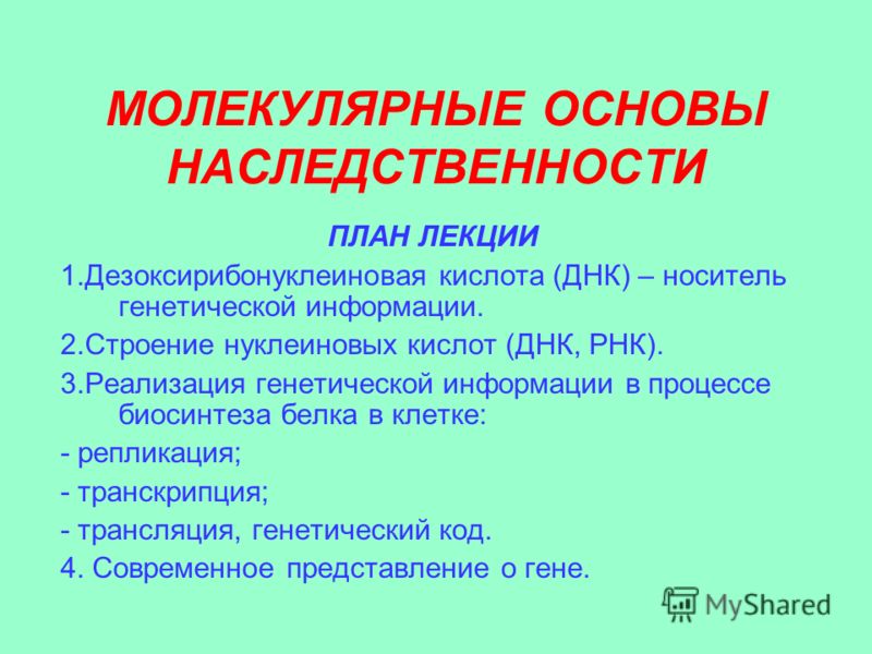Цитологические И Биохимические Основы Наследственности Реферат Цитологические И Биохимические Основы Наследственности Реферат