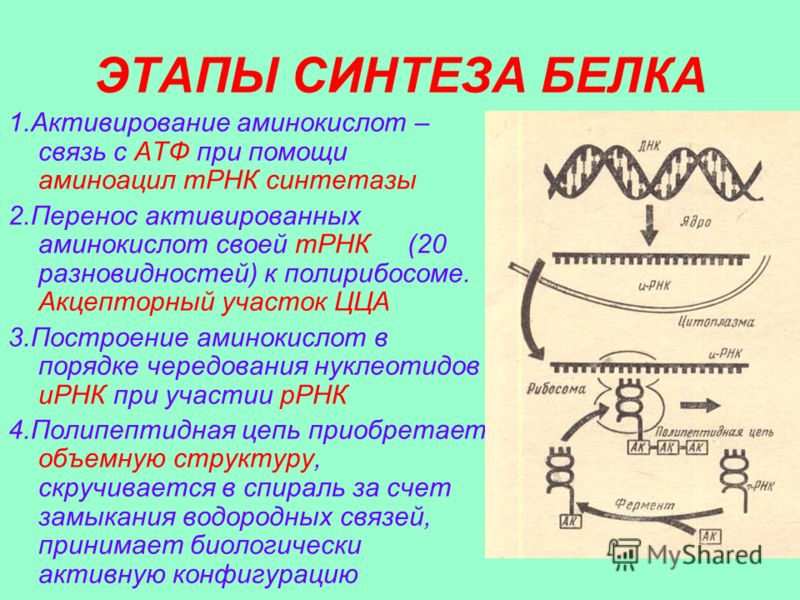 Модные прически с начесом на средние волосы - фото Мода 2017 года фото в женской одежде весна-лето Женский