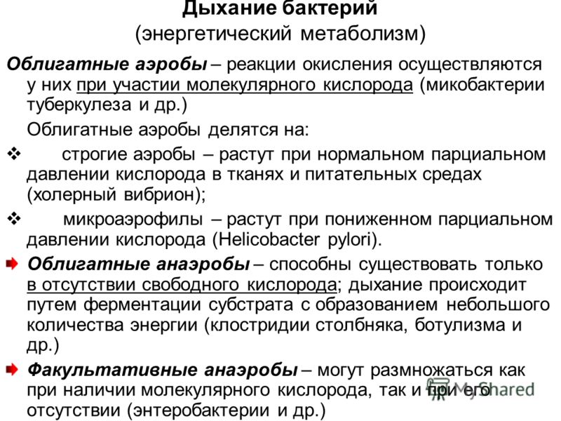сода от паразитов как принимать сода от паразитов как принимать