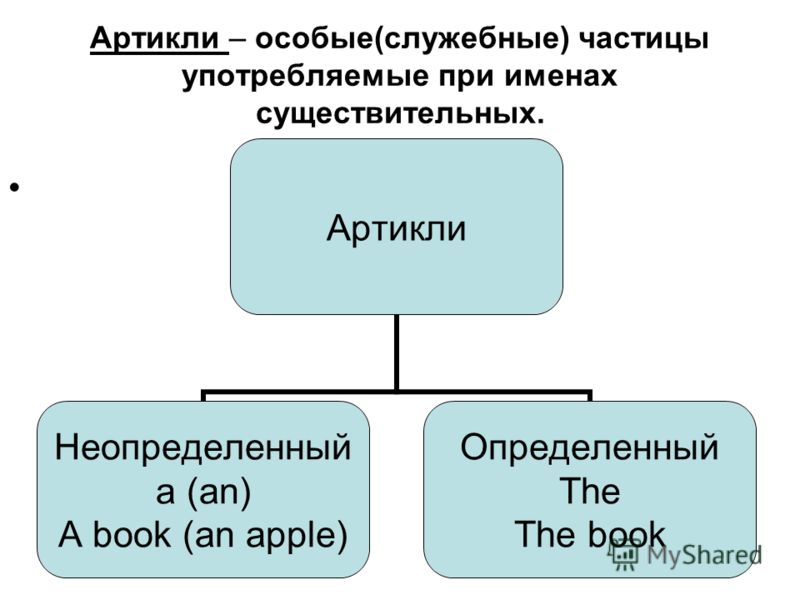 This That These Those Презентация Для Детей