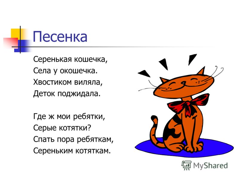 Текст песни кошка