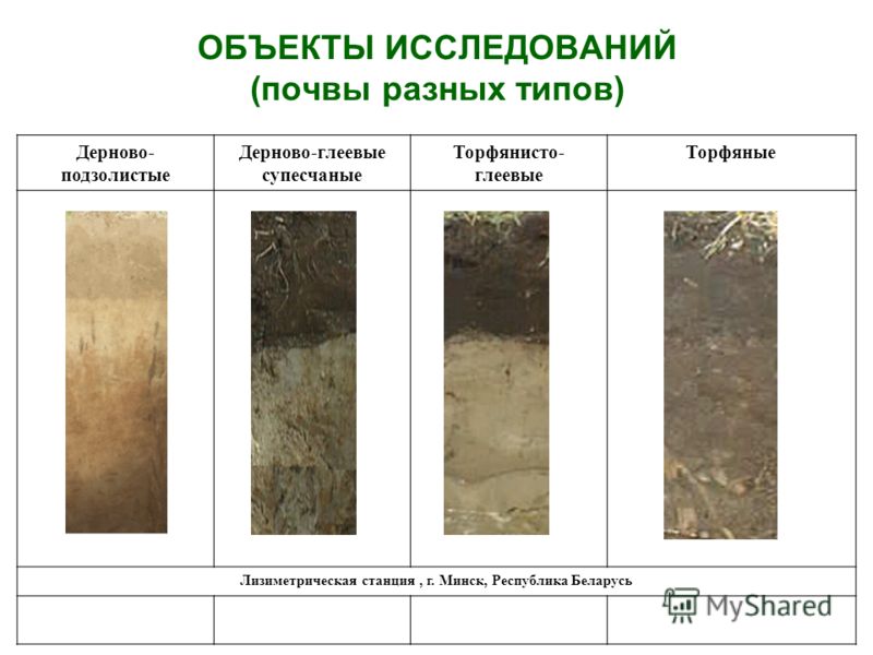 Где находится дерново-подзолистые почвы Где находится дерново-подзолистые почвы