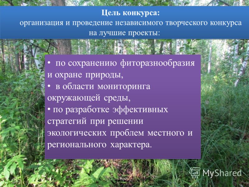 Конкурсы для студентов краснодарский край Конкурсы для студентов краснодарский край