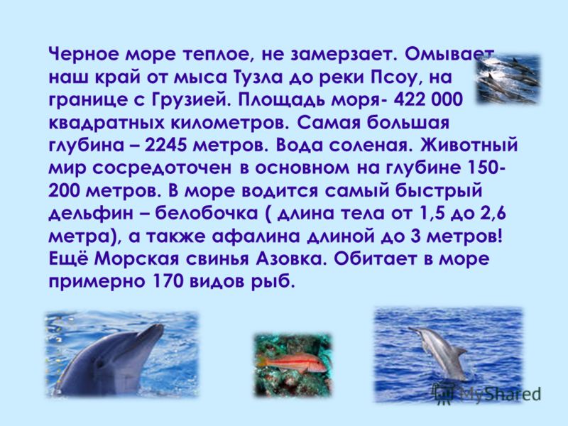 сверлильным амая большая нлубина моря трещинки