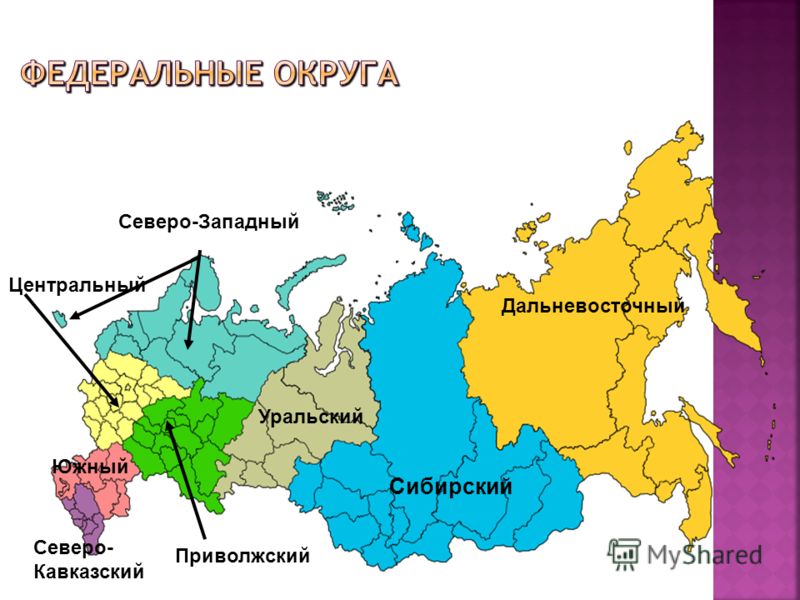 Мастер-класс "Дополненная реальность на уроках окружающего мира"