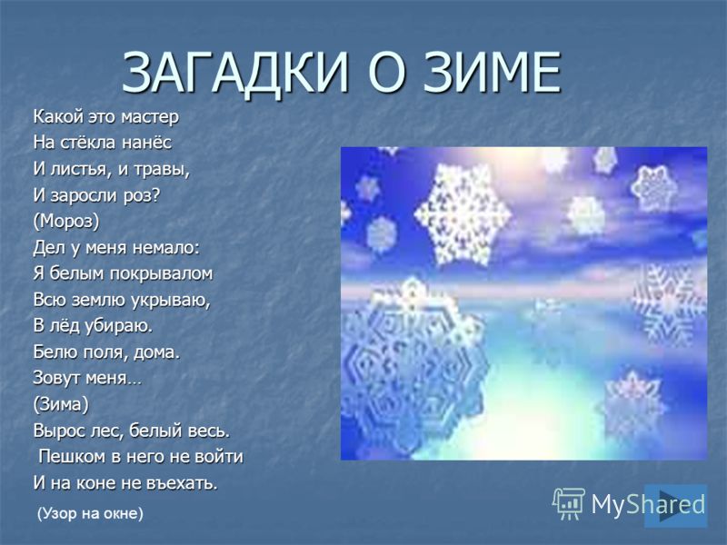 Зимние загадки и поговорки Зимние загадки и поговорки