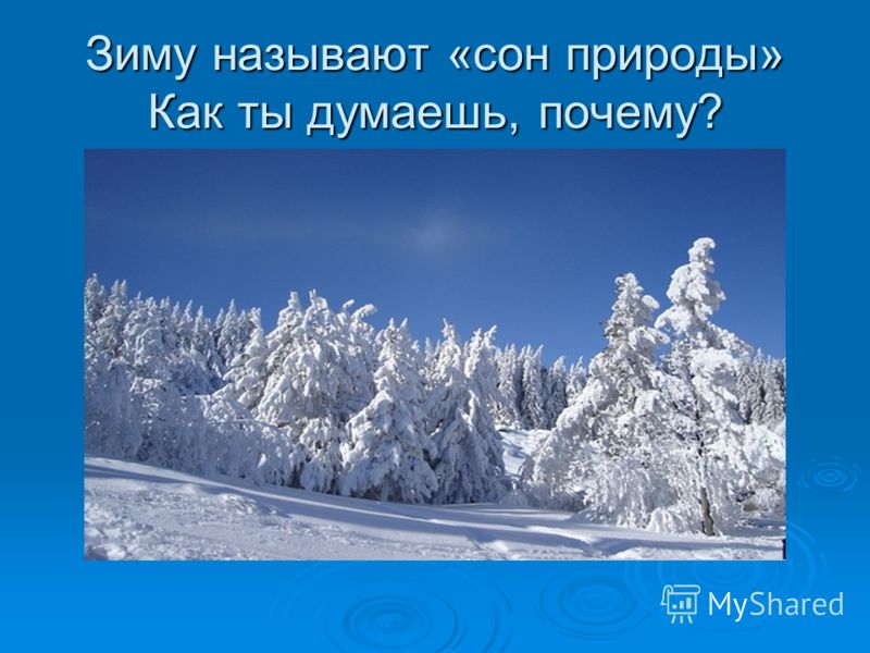 Дидактические картинки явления природы зимой Дидактические картинки явления природы зимой