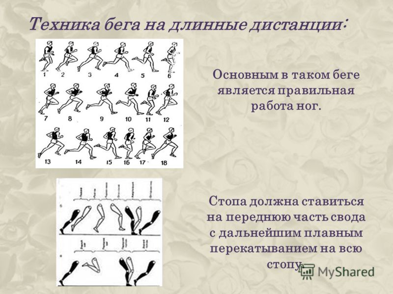 Бег На Длинные Дистанции Техника Реферат Бег На Длинные Дистанции Техника Реферат