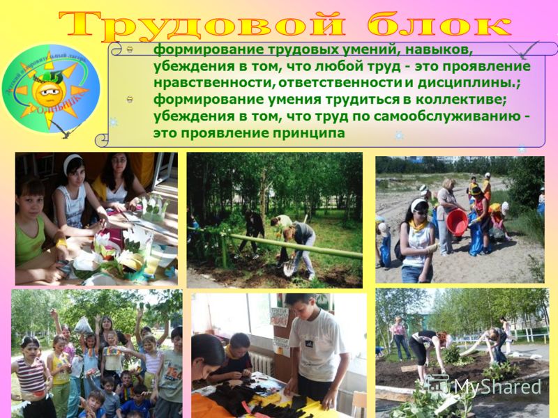 Формирование отношения ребенка к природе родного края Формирование отношения ребенка к природе родного края