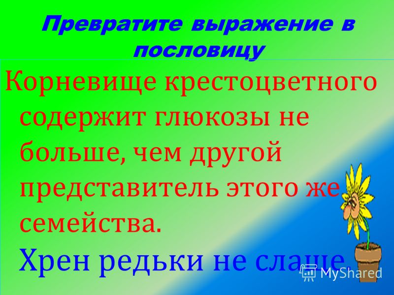 Пословица редьке не слаще Пословица редьке не слаще