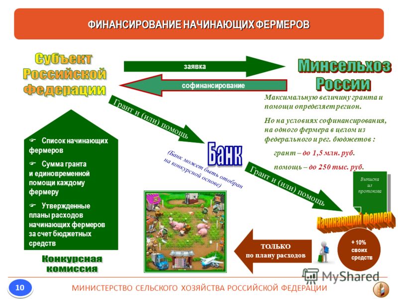 Как получить грант на развитие фермерского хозяйства в 2018 году Как получить грант на развитие фермерского хозяйства в 2018 году