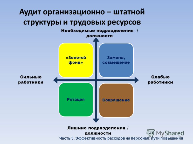проверка эффективности работы работников привлекаемых к ревизии девочки имеют