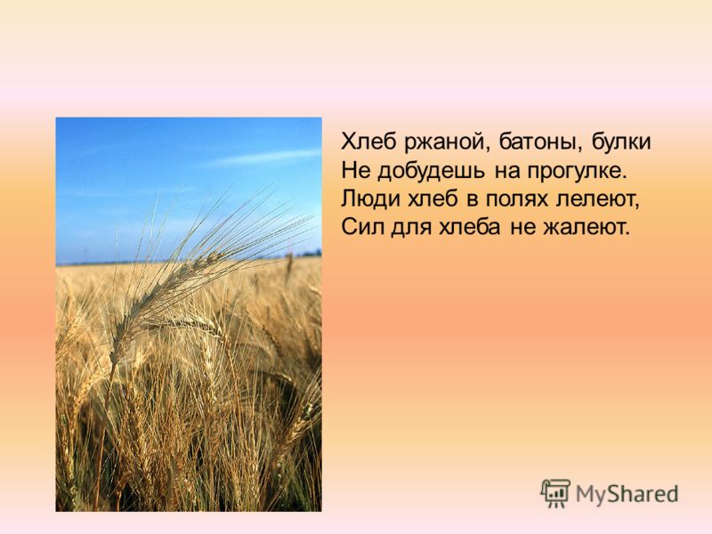 Стих сяду в поле Стих сяду в поле