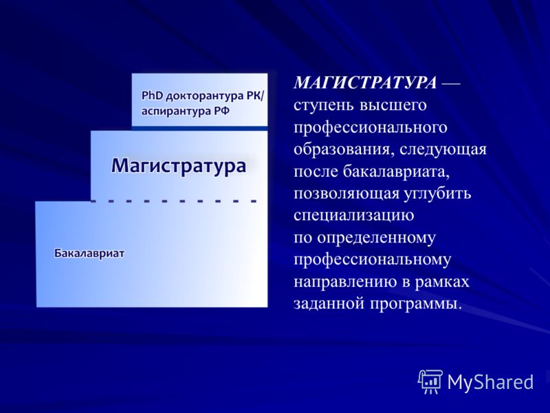магистр болонская магистр болонская